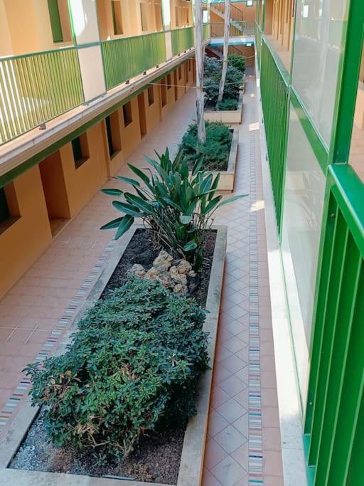 Rincon Del Delta, Apartamento En El Delta Del Ebro, Playa Trabucador Amposta, Tarragona L'Eucaliptus Exterior photo